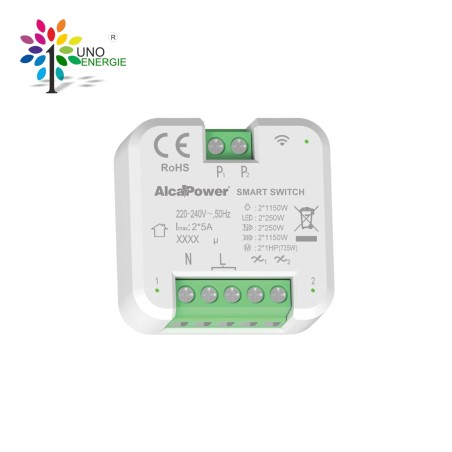 SMART SWITCH 220-240V AC 2x1150W