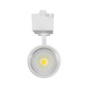 Faro LED 40W Dimmerabile Triac, Monofase, 38/60°, CCT Bianco Variabile, CRI92