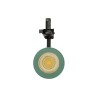 Faro LED 30W Trifase Verde CRI92 Bianco Variabile 38° - Bridgelux LED